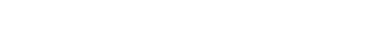 公式X